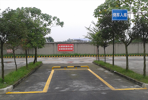 四川省天宇驾校倒车入库